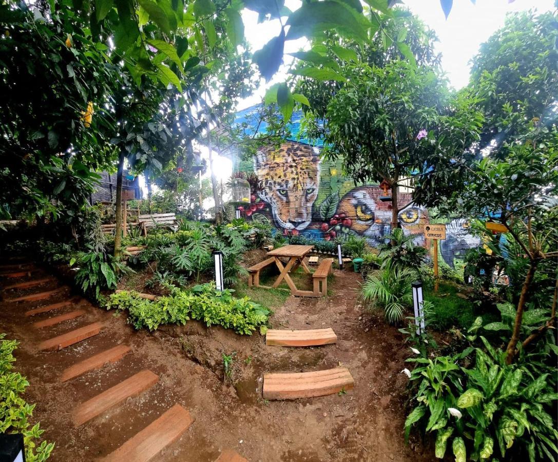Ayenda Ceiba Rooms Перейра Экстерьер фото