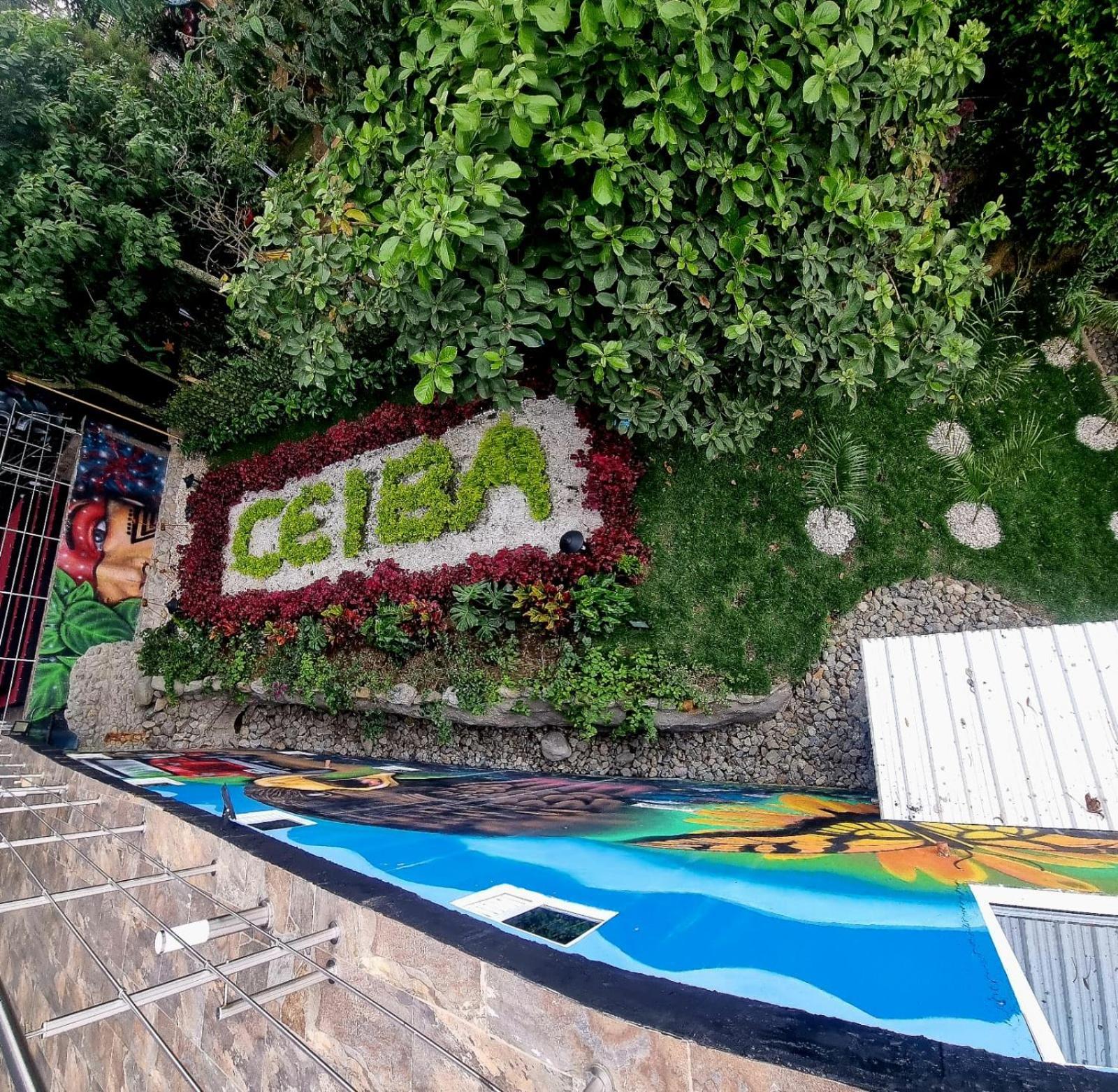 Ayenda Ceiba Rooms Перейра Экстерьер фото